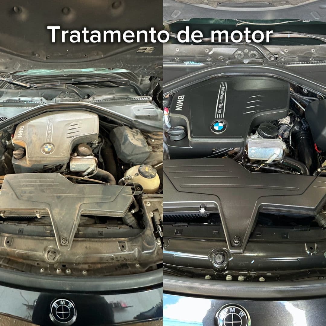 Tratamento de Motor - antes e depois Studio Car